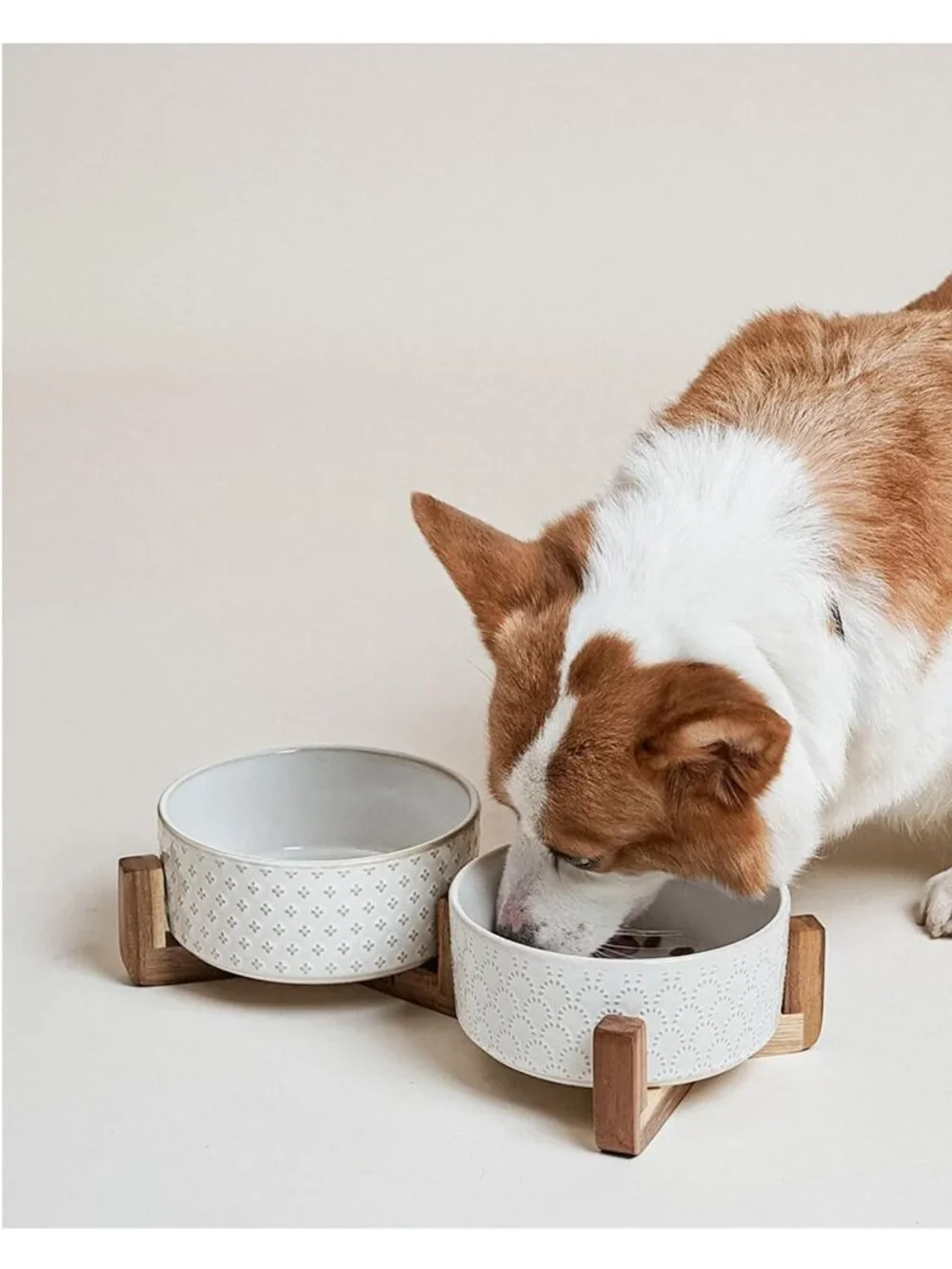 Elevated Ceramic Dog Bowls with Acacia Wood Stand - 7